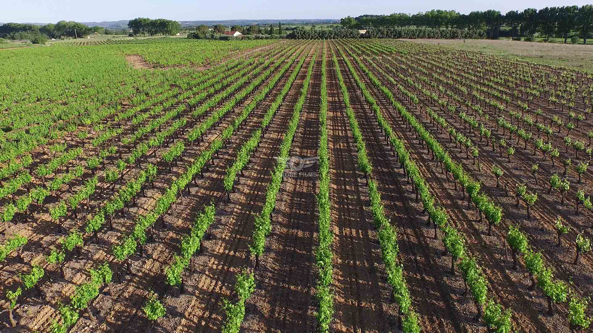 Agriculture-Drone-Films
